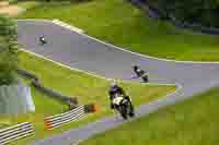 Middle 1 Group Yellow Bikes